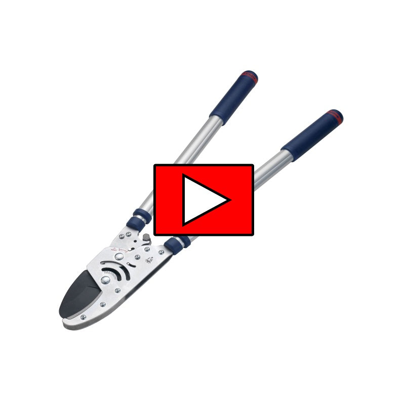 Spear & Jackson 8290RS Razorsharp Heavy Duty Telescopic Ratchet Anvil Loppers - Premium Loppers from Neill Tools - Just $39.50! Shop now at W Hurst & Son (IW) Ltd