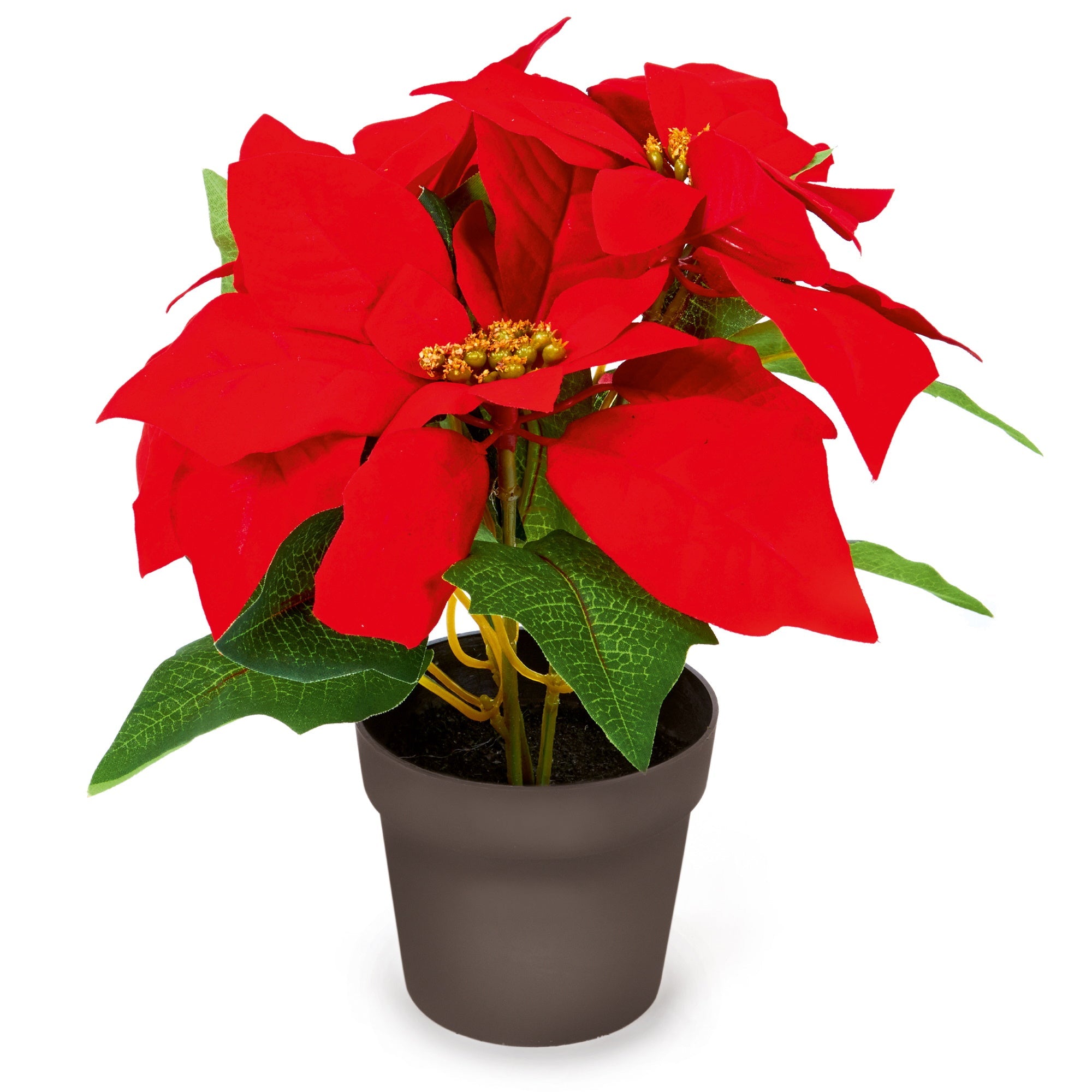 The Tree Company DF187051 Poinsettia In A Flower Pot 24cm - Premium Artificial Flowers / Plants from Premier Decorations - Just $11.99! Shop now at W Hurst & Son (IW) Ltd