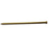 Holt Marine Brass Panel Pins - Various Sizes - Premium Nails from Holt Marine - Just $3.75! Shop now at W Hurst & Son (IW) Ltd