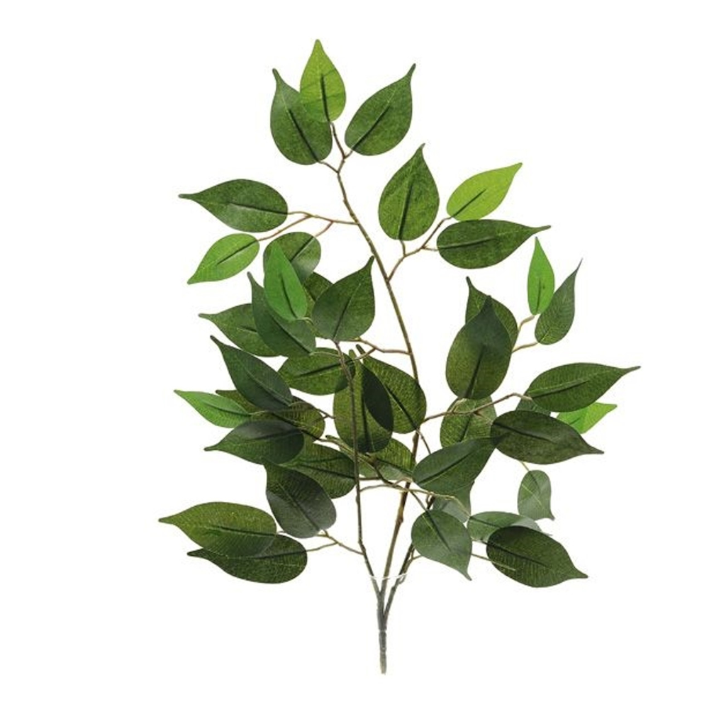 Artificial 920394 Plain Ficus Branch Length 50cm - Premium Artificial Flowers / PlantsArtificial Flowers / Plants from CB Imports - Just $1.60! Shop now at W Hurst & Son (IW) Ltd