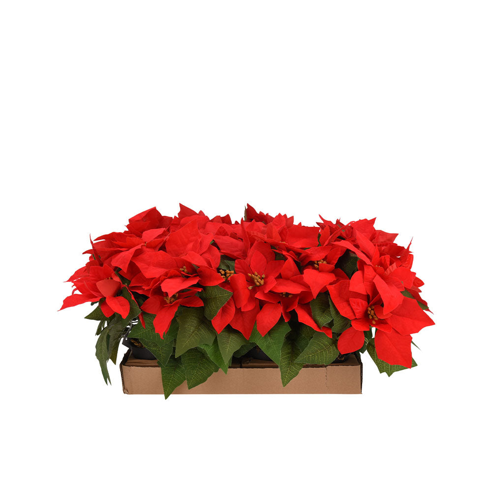 Xmas Flowers in Pot - MT1000040 Artificial Flowers Koopman International UK Ltd (AIS) All Things Christmas Artificial Flowers Brand_Koopman CarlR Christmas Christmas Decorations Christmas Products Collections_All Things Christmas Collections_Artificial Flowers Koopman Oct25 Product Type_Artificial Flowers Product Type_Artificial Flowers / Plants Product Type_Christmas Decorations