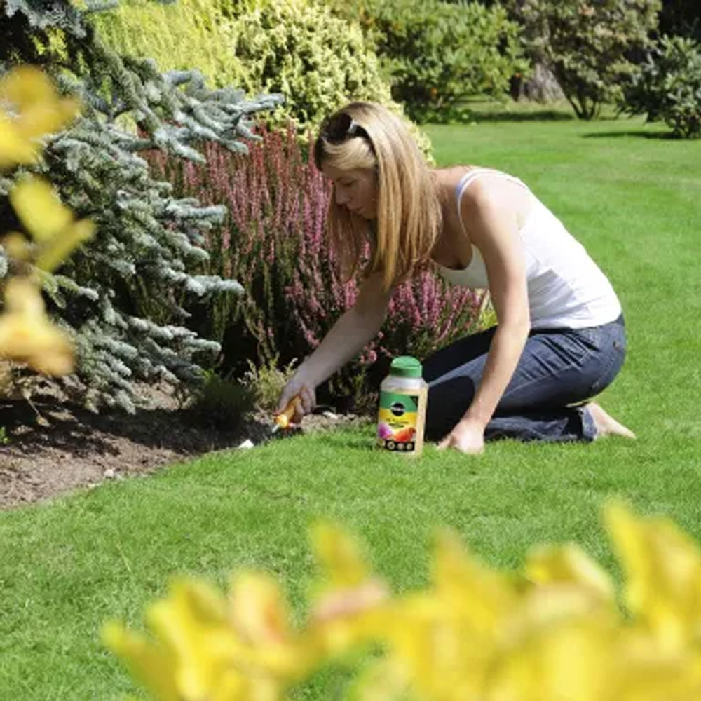 Miracle-Gro Plant Food 900g - 121066 Plant Food Decco Ltd McMinn * aug25 Brand_Miracle Gro CarlR Garden Gardening Greenhouse & Garden Home & Garden Miracle Gro Plant Feed Plant Growth Product Type_Plant Food