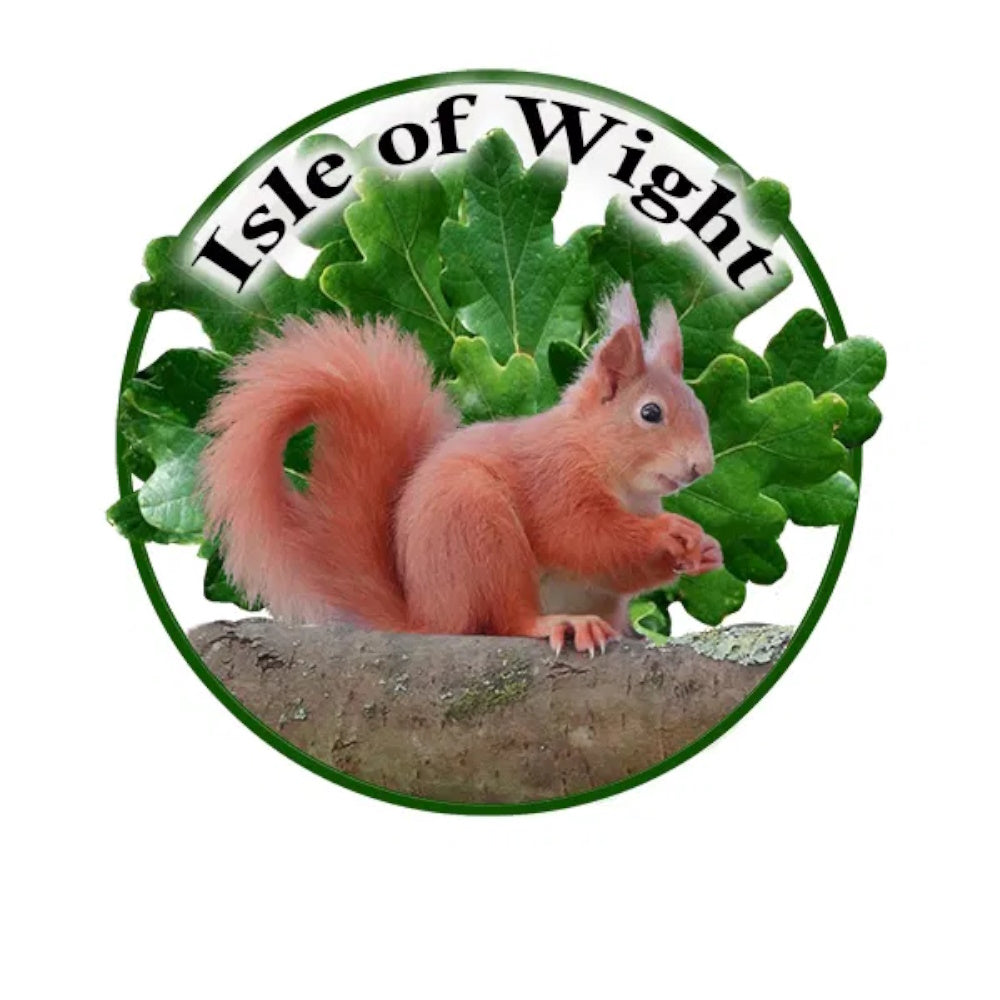 I.o.W. M184 Red Squirrel Magnet Magnet W J Nigh & Sons Ltd Brand_W J Nigh Collections_More Decor & Giftware Dec24 Decor & Giftware Giftware Google Product Home Magnets Mark.Williams More Decor & Giftware Product Type_Magnets W J Nighs