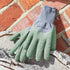 Briers All Seasons Glove - Sage Medium - 4530018 Gloves Smart Garden Products Ltd aug25 Autumn Garden Brand_Smart Garden CarlR Garden Garden Tidying Gardening Gloves Greenhouse & Garden Home & Garden Product Type_Gloves Smart Garden Sundry Home & Garden