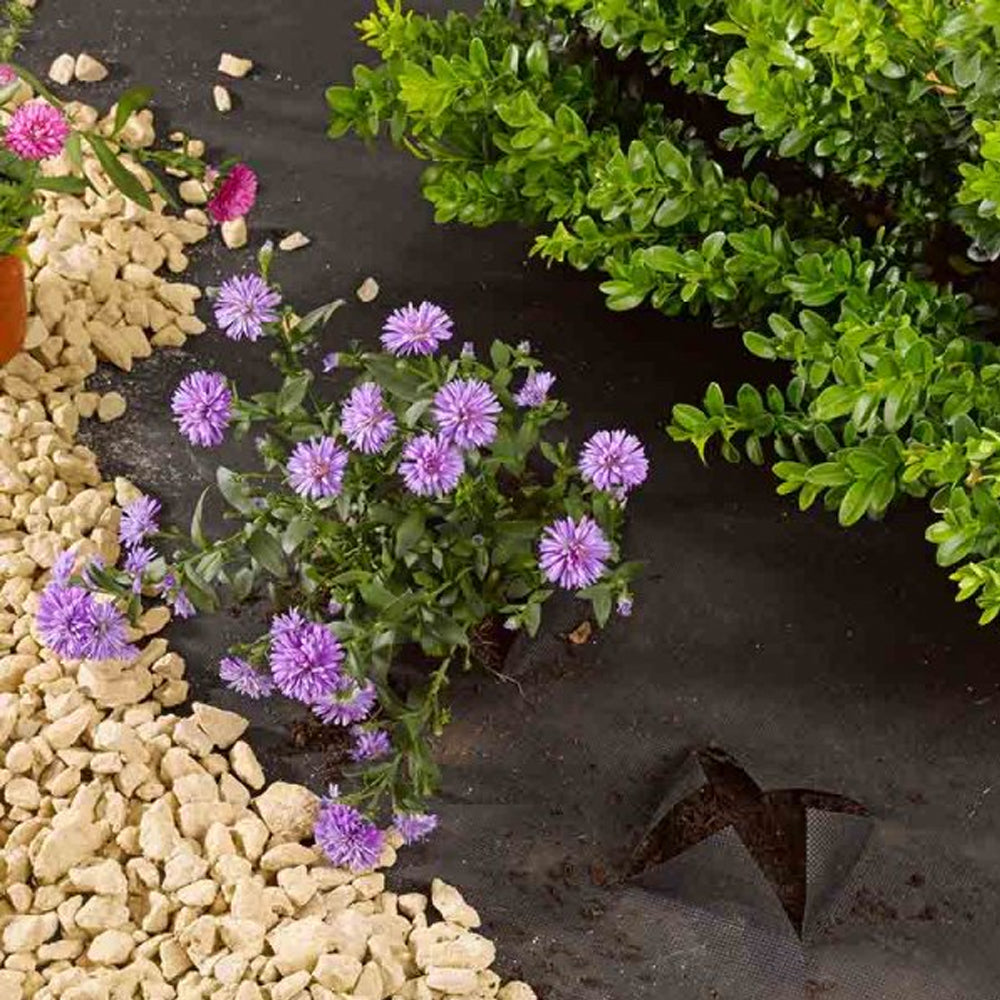 Weed Control Fabric 1 x 15m - 7015002 Weed Control Smart Garden Products Ltd aug25 Autumn Garden Brand_Smart Garden CarlR Garden Garden Tidying Gardening Greenhouse & Garden Home & Garden Product Type_Weed Control Smart Garden Sundry Home & Garden