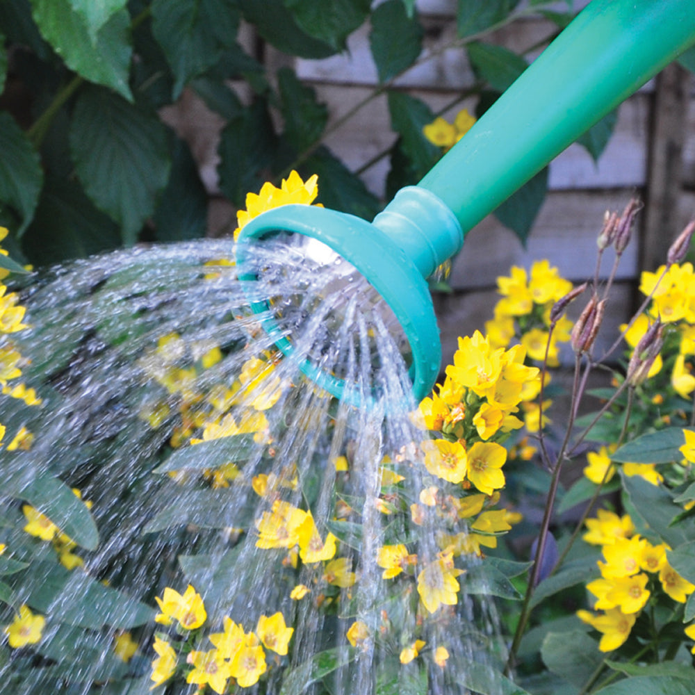 Watering Can Rose - B609BX Watering Cans Bonnington Plastics Ltd aug25 CarlR Collections_Hoses / Watering Garden Gardening Greenhouse & Garden Home & Garden Hoses & Watering Product Type_Watering Cans