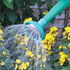 Watering Can Rose - B609BX Watering Cans Bonnington Plastics Ltd aug25 CarlR Collections_Hoses / Watering Garden Gardening Greenhouse & Garden Home & Garden Hoses & Watering Product Type_Watering Cans