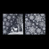 White Snowflake Assorted Window Stickers - AC241166 Christmas Decorations Premier Decorations Ltd All Things Christmas Brand_Premier Decorations CarlR Christmas Christmas Decorations Christmas Products Collections_All Things Christmas More Christmas Decorations Oct25 Premier Decorations Product Type_Christmas Decorations Xmas