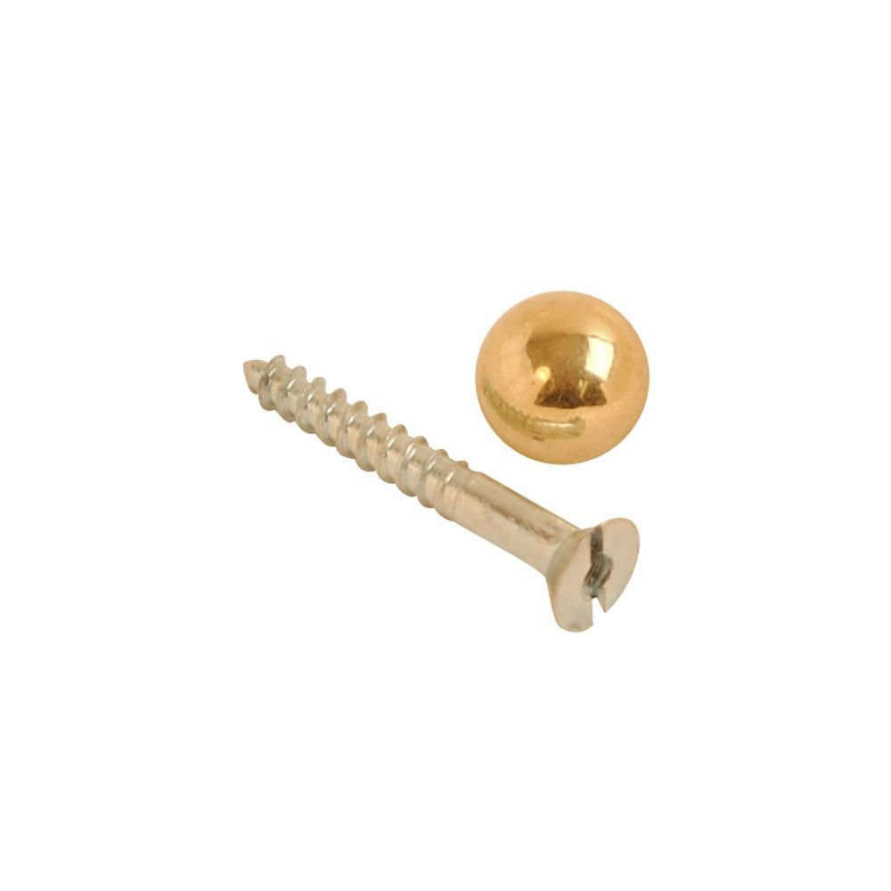 Chase 8902 Mirror Screw with Brass Head 1"