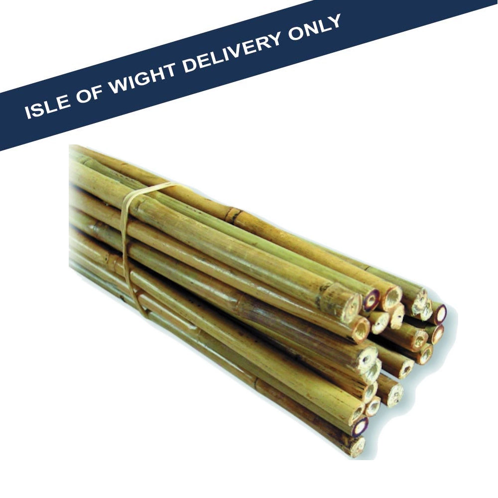 Single Bamboo Garden Canes - Various Sizes