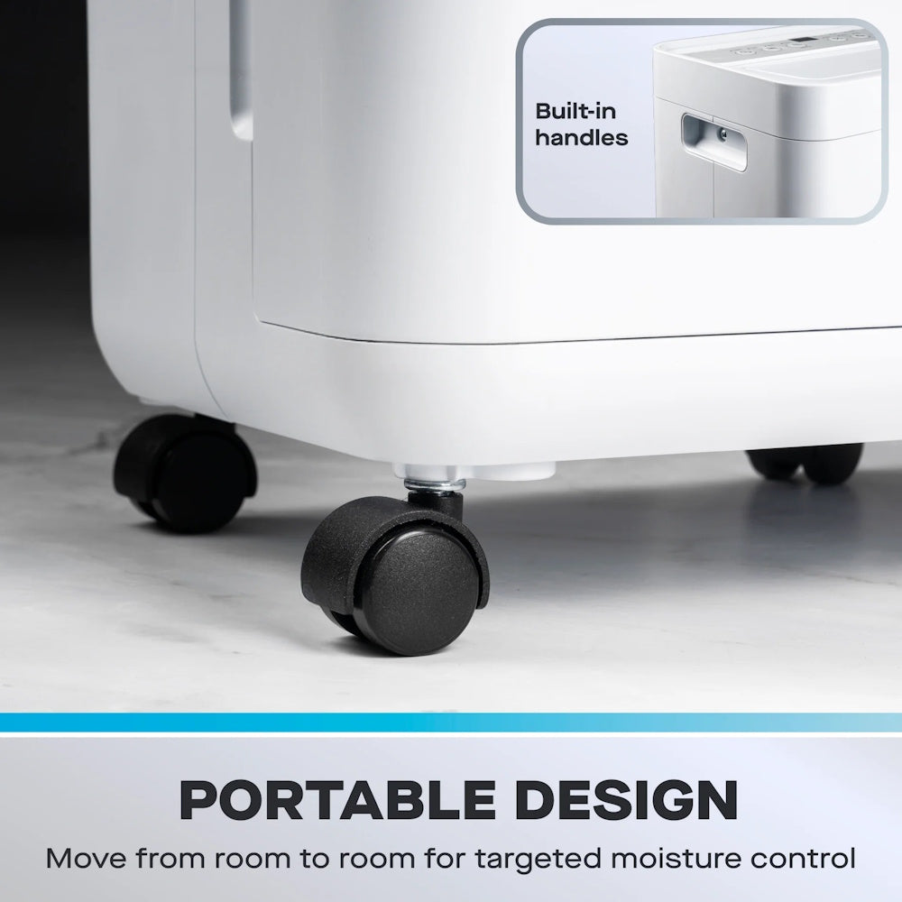 Daewoo Dehumidifier 12 Litre With Air Purifier – COL1670GE