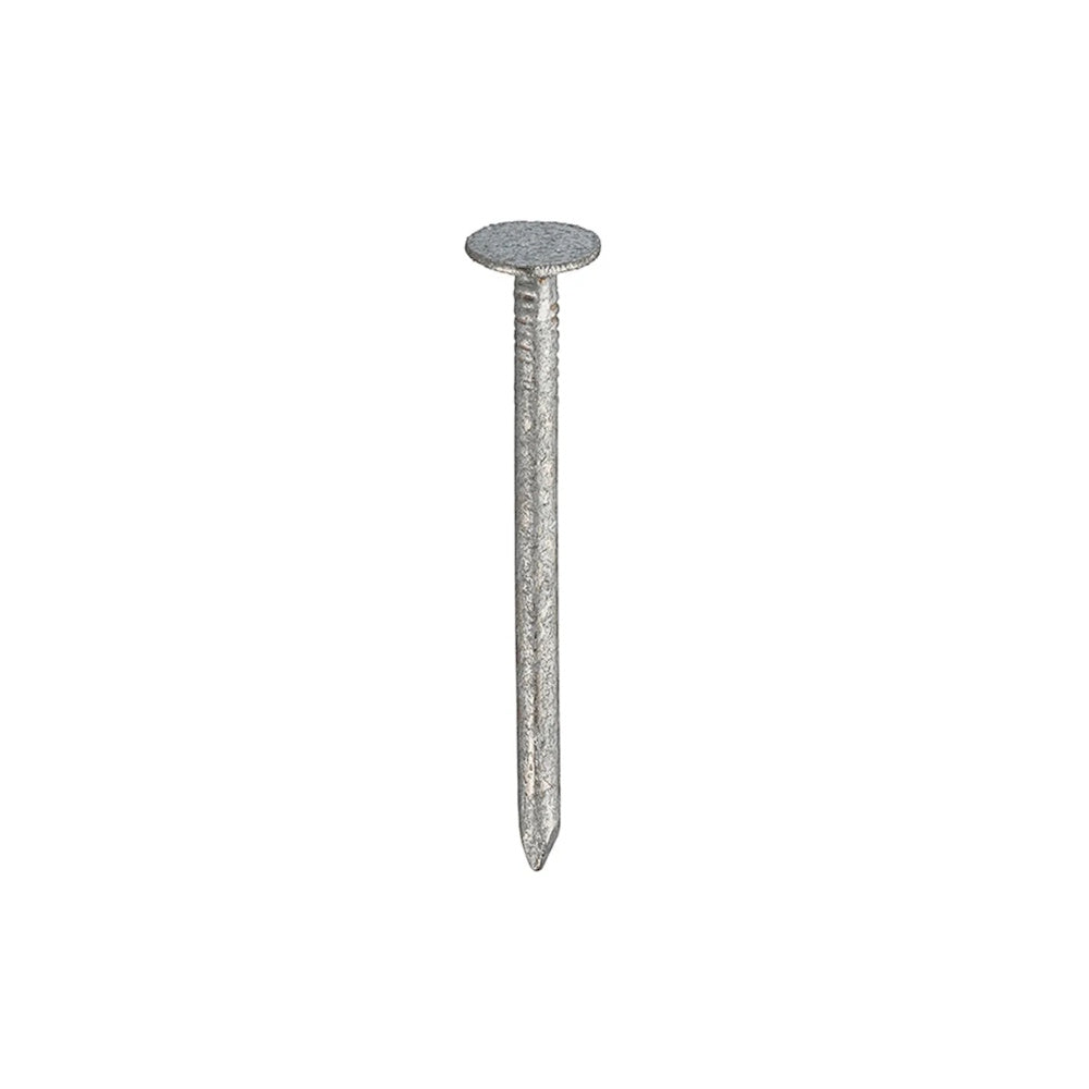Galv ELH Clout 3/4in 20x3.0mm 500g Bag - OJ017259 Nails T/As Owlett Jaton (NMBS) Building Materials CarlR Collections_Nails Collections_Screws / Nails Nails Owlett Jaton Product Type_Nails Screws & Nails
