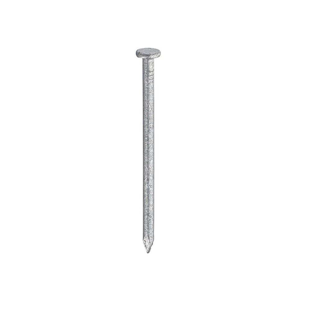 Owlett Jaton Galvanised Round Wire Nails 75mm 500g Bag (Part No: 9GALVRWNTQ/020) Nails T/As Owlett Jaton (NMBS) CarlR Collections_Nails Collections_Screws / Nails DIY Expert DIY Nails Owlett Jaton Product Type_Nails Screws & Nails