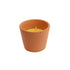 Citronella Candle in Pot 9 x 9cm (Part No: 2881000010)