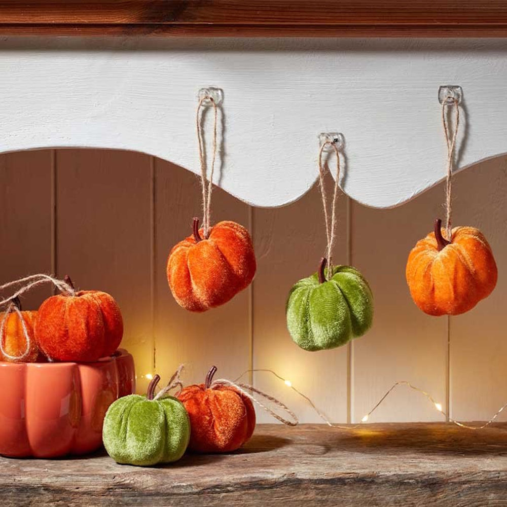 Smart Garden Minikin Pumpkin Assorted Colours (Part No. 2641025)