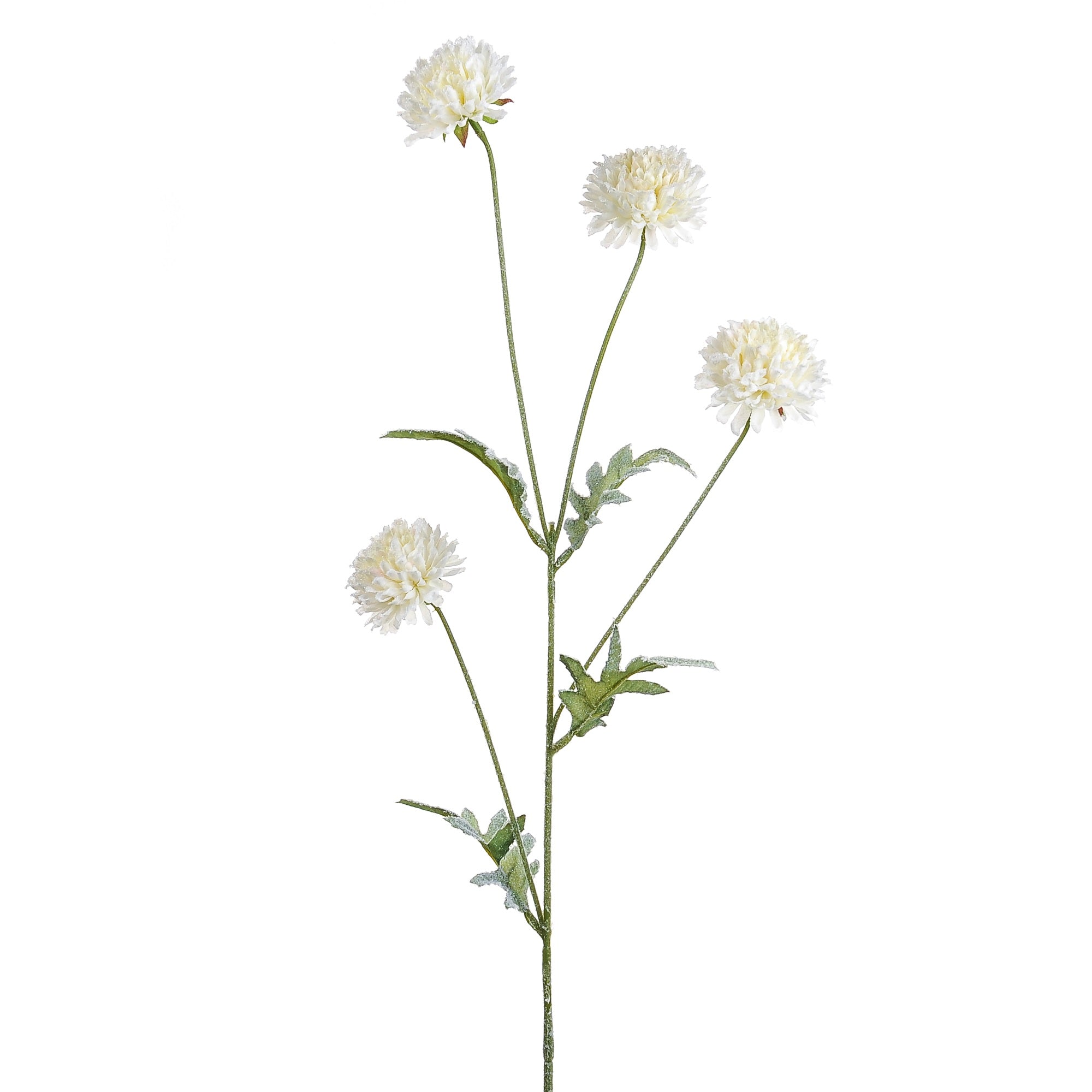 Artificial 11038769 Frosted Pom Pom Mum Cream Length 76cm - Premium Artificial Flowers from CB Imports - Just $2.5! Shop now at W Hurst & Son (IW) Ltd