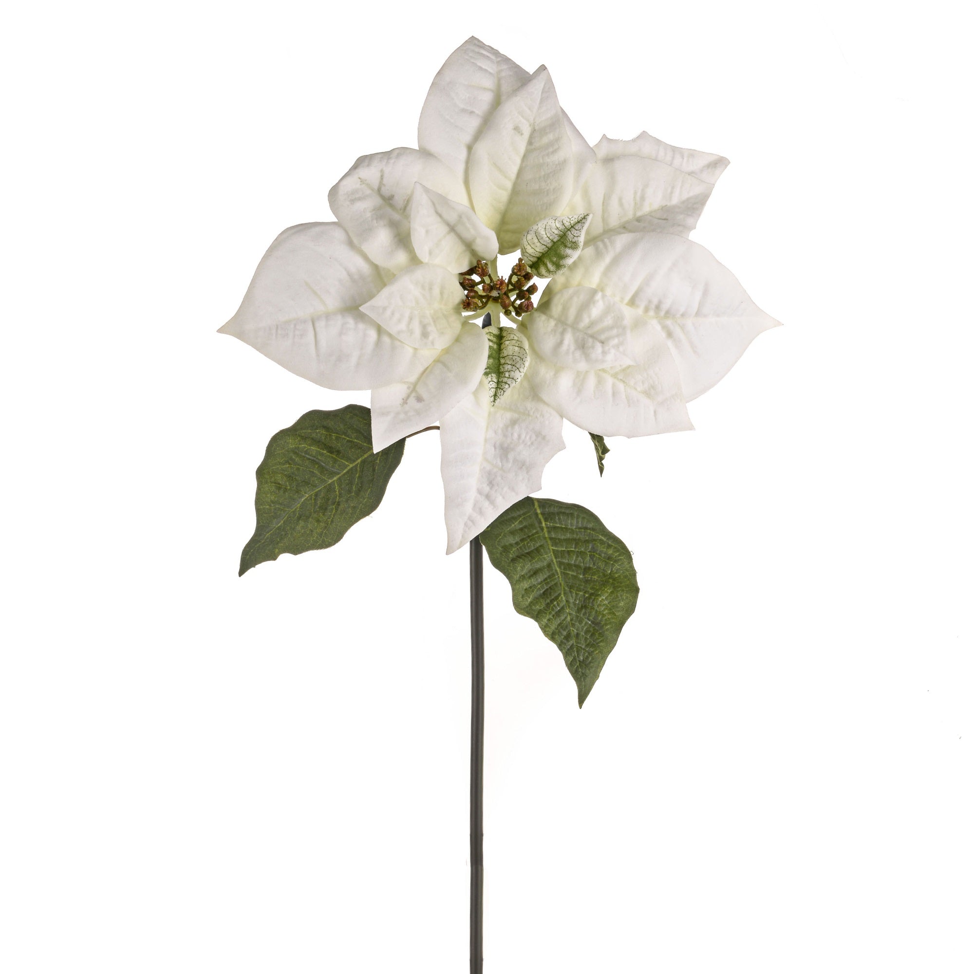Artificial 11178540 Giant Poinsettia White Length 63cm - Premium B from CB Imports - Just $7.99! Shop now at W Hurst & Son (IW) Ltd