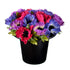 Artificial 11101227 Grave Arrange Anemone Dark Mix Length 19cm - Premium Memorial Giftware from CB Imports - Just $15.95! Shop now at W Hurst & Son (IW) Ltd