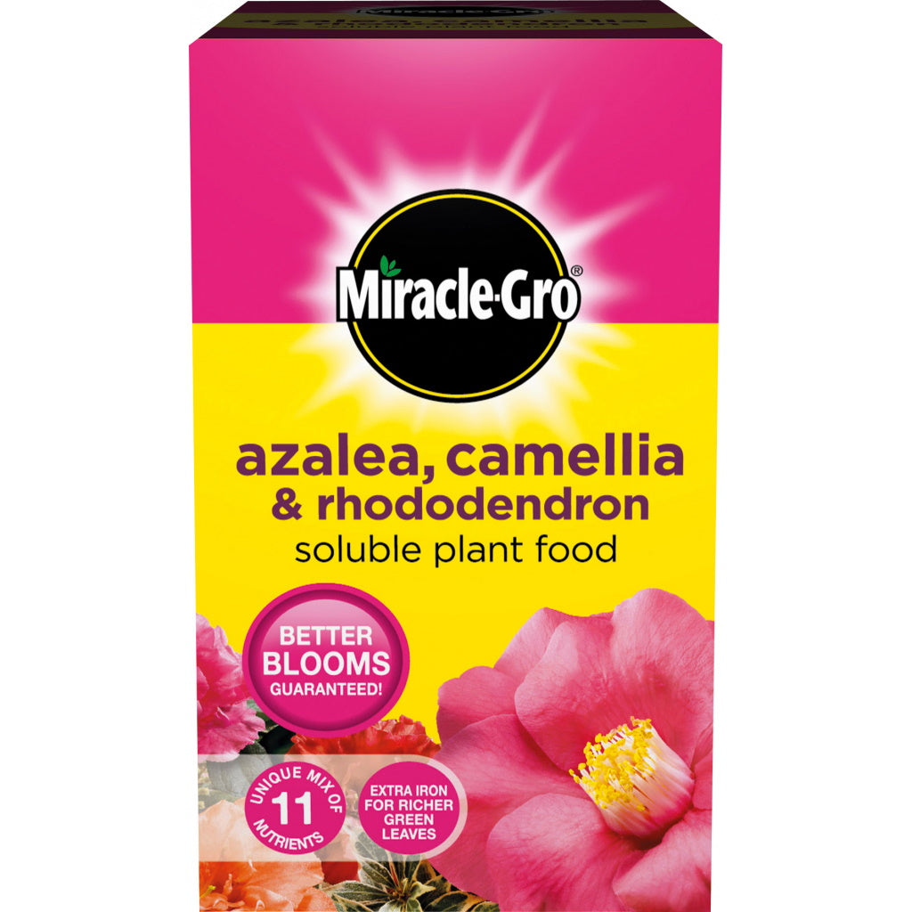 Miracle Gro Azalea, Camellia & Rhododendron Soluble Plant Food 500g - Premium Plant Food from Miracle-Gro - Just $6.20! Shop now at W Hurst & Son (IW) Ltd