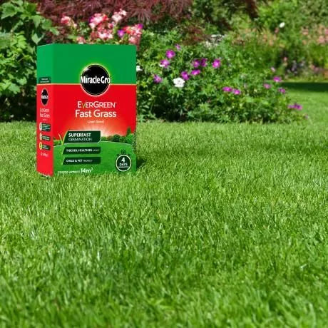 Miracle Gro 774893 Evergreen Fast Grass Lawn Seed 480g - Premium Grass Seed from Miracle-Gro - Just $8.99! Shop now at W Hurst & Son (IW) Ltd