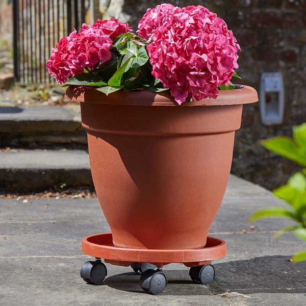 Smart Garden 6070001 29cm Plant Pot Caddy - Premium Baskets/Planters/Pots from SMART GARDEN - Just $6.95! Shop now at W Hurst & Son (IW) Ltd