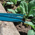 Kingfisher Garden CANE1 20 Pack of 60cm split green garden canes - Premium B from Bonnington Plastics - Just $1.50! Shop now at W Hurst & Son (IW) Ltd