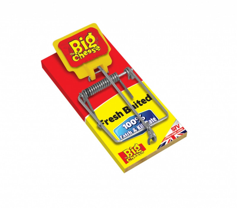 The Big Cheese STV194 Fresh Baited Mouse Trap - Premium Rodent from STV - Just $2.65! Shop now at W Hurst & Son (IW) Ltd