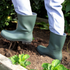 Half Length Wellington Boots - Sizes 3 to 12 - Premium Wellington Boots from W Hurst & Son (IW) Ltd - Just $14.5! Shop now at W Hurst & Son (IW) Ltd